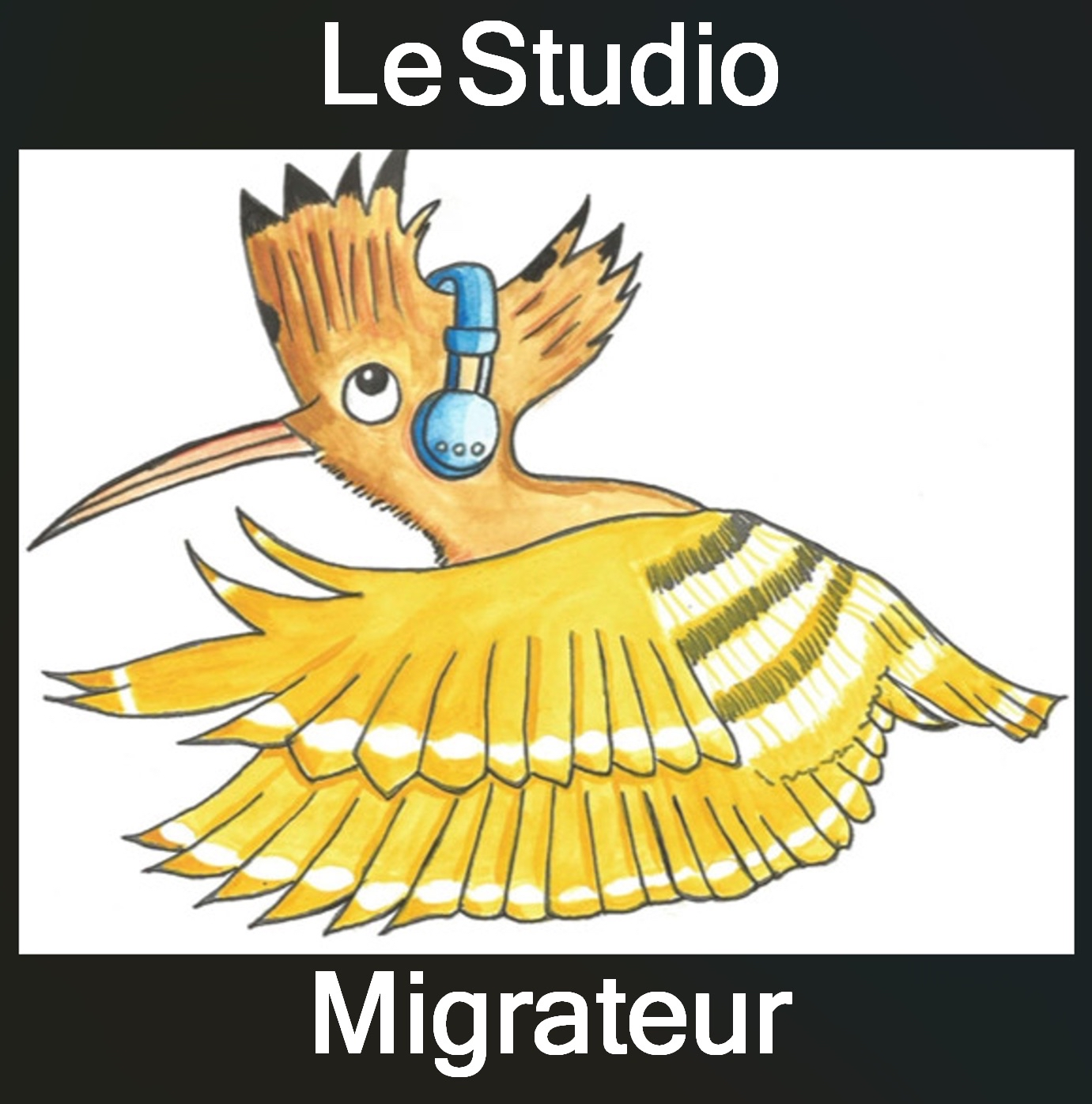 Studio Migrateur